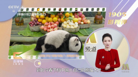 驯服日本的妻子